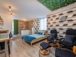 Le scandinave SPA，位于圣艾蒂安的酒店