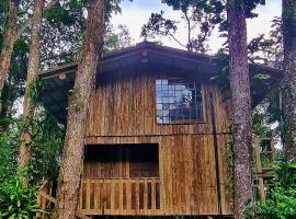 Casa da Árvore - Jussara Cultural，位于约恩维利的酒店