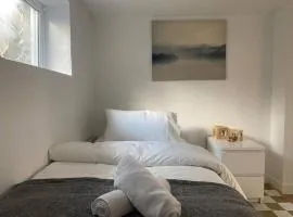 Choice Downtown 2BR Lower Suite & 3BR Duplex