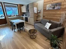 Residenze Vezza - Il Larice -