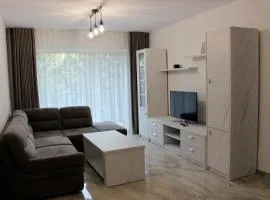 City Center Cozy Apartments near Shops and Restaurants in Suceava