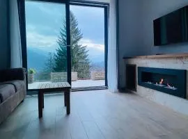 Stone Apartment with sauna Sinaia