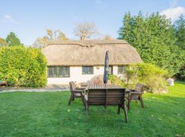Stag Cottage New Forest Romantic Hideaway，位于伯利的带按摩浴缸的酒店
