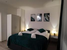 FeWo Schleiz，位于施莱茨的酒店