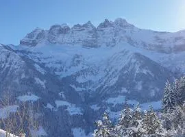 Chalet le Grenier des Crosets, Vue exceptionnelle sur les Dents du Midi