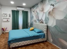 Venera Lux Apartman，位于Zemun的酒店