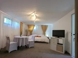 Apartments in Vienna suburbs - 40 min from Vienna city center