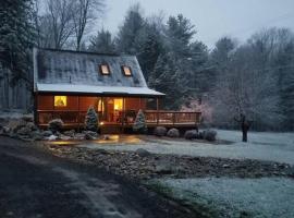 Cozy Cabin By the Slopes，位于麦克亨利的酒店
