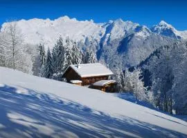 Chalet Les Pellys - OVO Network