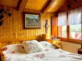 Stella Alpina, in Via Medail con vista incantevole sulle Alpi