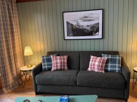 Chalet Apt Melesez，位于采尔马特的酒店