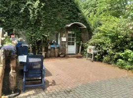 FEWO Laubwald