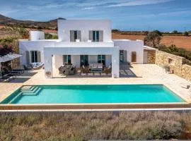 The Gallery Home - Elegant Villa In Antiparos