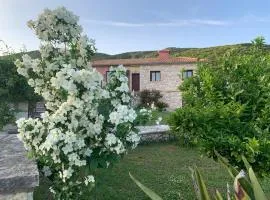 Iris Bioclimatic House