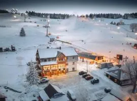 阿尔佩斯基齐耶伦涅茨旅馆