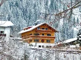 Alpen Lodge Riezlern