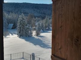 Tara Mountain House，位于巴伊纳巴什塔的酒店