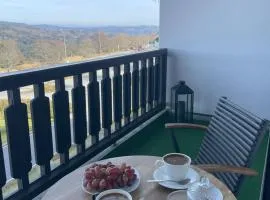 Two Apartaments Almberg - Mitterdorf-Mitterfirmiansreut