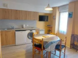 Appartement lumineux avec parking et cellier à skis - FR-1-812-23