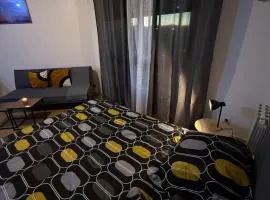 Appartements Sully