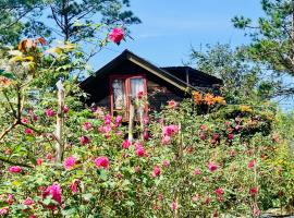 Romantic house 2 on a pine hill Dalat，位于大叻的酒店