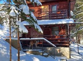 Cabana Dochita 2，位于察赫劳的酒店