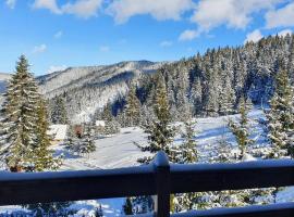 Vla&scaron;ićka ruža Eko FIS 303，位于弗拉西克的带停车场的酒店