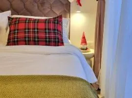 Charming studio apt in city center