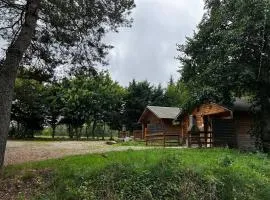Camping & Chalets La Santoire