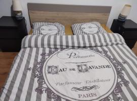 Grand Appartement chaleureux，位于Mirebeau-sur-Bèze的酒店
