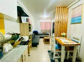 Plumera Condo Nearest Airport Intl SchoolsMalls