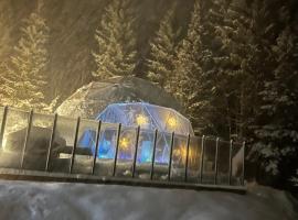 Evenes Artic glamping，位于Evenesmarkja的豪华帐篷