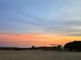 אסקייפ ים המלח