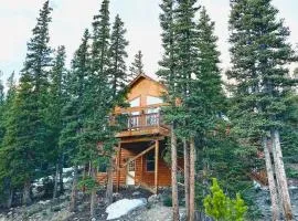 Mountain Views, Fast Wi-Fi, Hot Tub near Fairplay and Breck