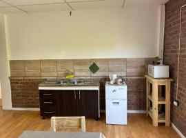 Ñireco 1，位于乔斯马拉尔的酒店