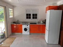 Superbe F2 tout confort avec terrasse et jardin