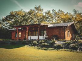 Micesti Chalet，位于Miceşti的酒店