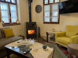 Petrini Armonia, Vitsa Zagori