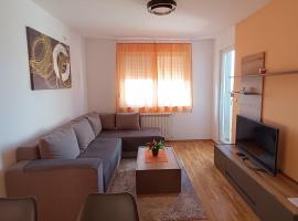 Luksuzni Apartman Ema，位于皮罗特的酒店