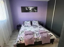 CHAMBRE D'HOTES DANS MAISON PROCHE de COLMAR