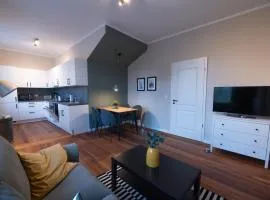 Großzügige moderne Wohnung