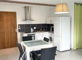 VERT ANIS- Appartement T2 lumineux, très bien équipé, proche centre-ville