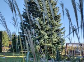 Siedlisko Jelonki，位于Urowo的酒店