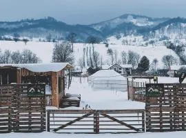 Glamping Iurte Mongole Spiritul Zimbrului