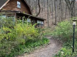 Woodhaven, darling romantic cabin, ATV trails, Mena, AR