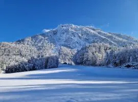 Appartement Woidrauschen