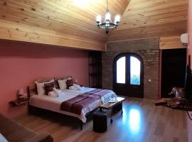 Château Fort de Manavi, Boutique Hotel，位于Manavi的酒店