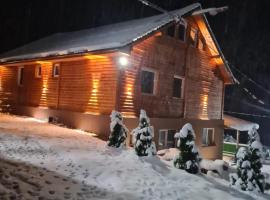 Šumska vila Gašić，位于科帕奥尼克的酒店