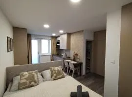 Štúdiový apartmán pri parku