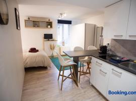 Studio zone piétonne à Saverne，位于萨维尔纳的酒店